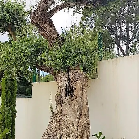 Willa Algarve, Quinta Da Balaia *